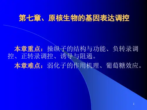 第七章、原核生物基因表达调控