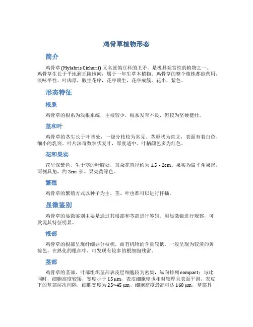鸡骨草植物形态与显微鉴别