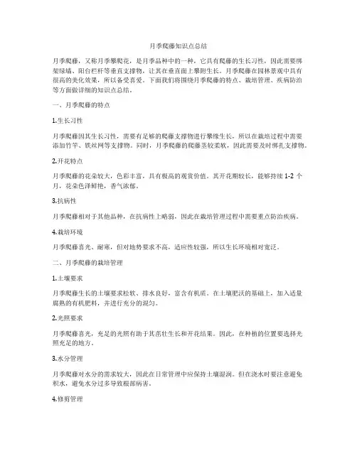 月季爬藤知识点总结