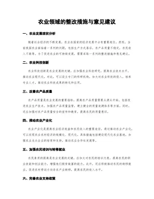 农业领域的整改措施与意见建议