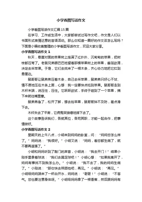 小学看图写话作文汇编15篇