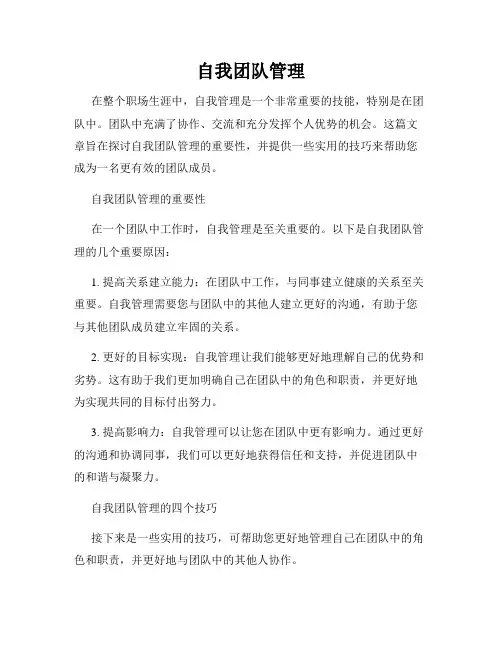 自我团队管理