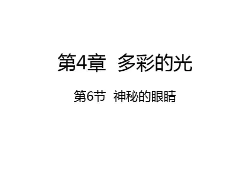 神奇的眼睛课件