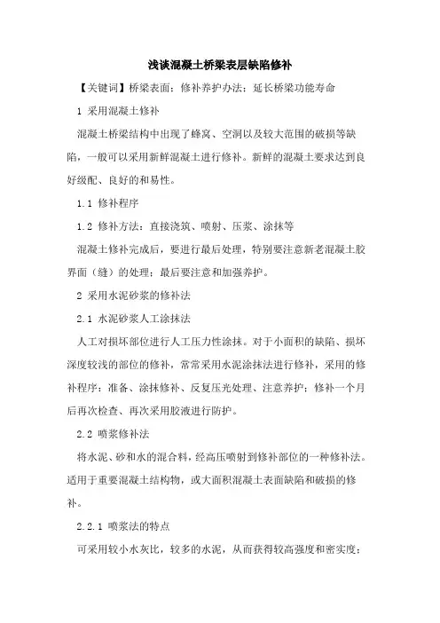 混凝土桥梁表层缺陷修补