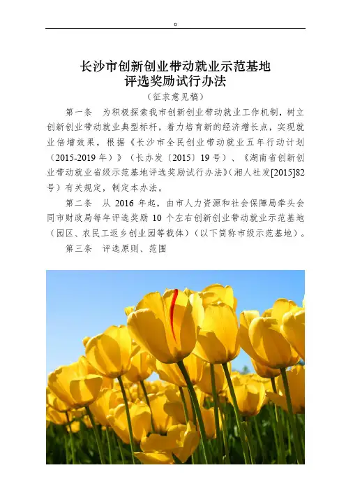 长沙市创新创业带动就业示范基地课件.doc