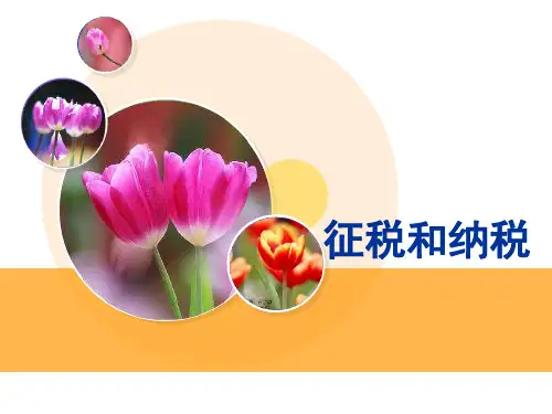 必修1高中思想政治征税和纳税-课件