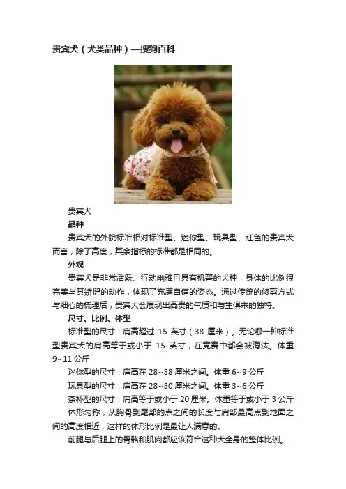 贵宾犬（犬类品种）—搜狗百科