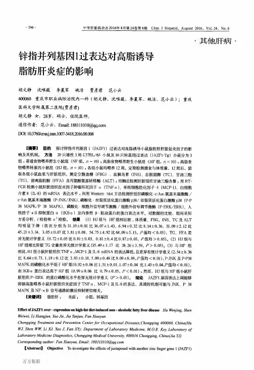 锌指并列基因1过表达对高脂诱导脂肪肝炎症的影响解析