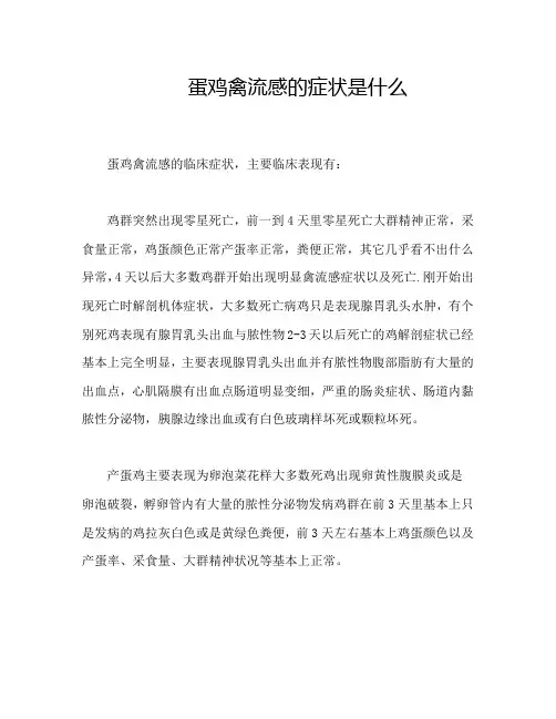 蛋鸡禽流感的症状是什么