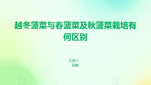 越冬菠菜与春菠菜及秋菠菜栽培有何区别