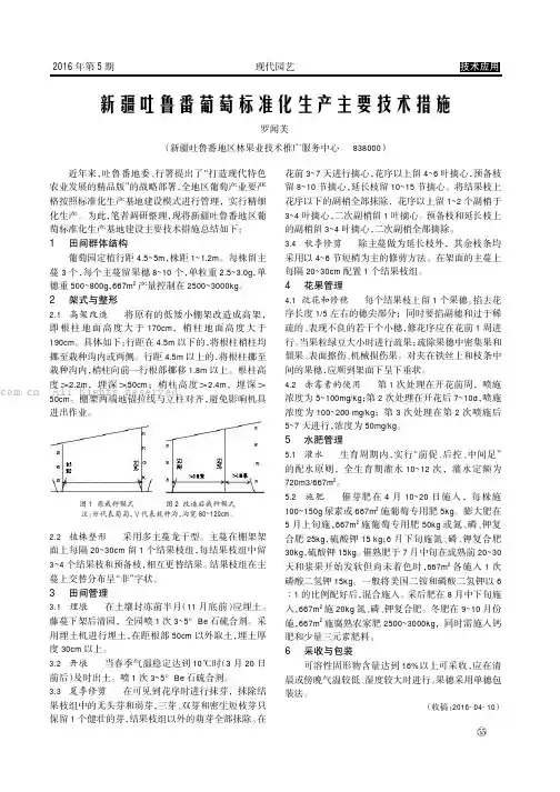 新疆吐鲁番葡萄标准化生产主要技术措施