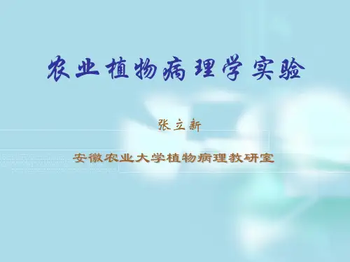 农病实验1-水稻病害