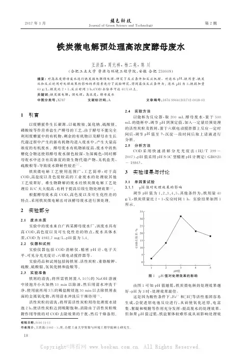 铁炭微电解预处理高浓度酵母废水