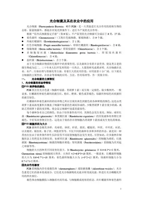 光合细菌及其在农业中的应用