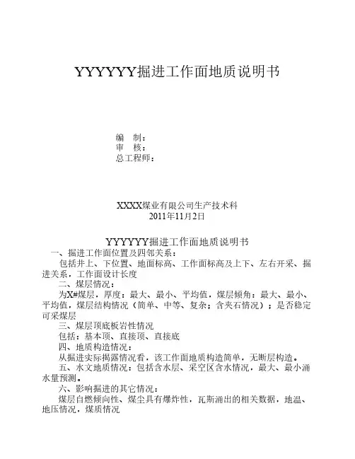 YYYYYY掘进工作面地质说明书