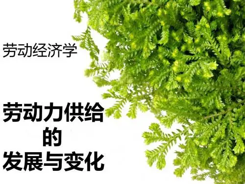 劳动力供给的发展与变