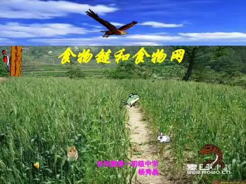 食物链和食物网 PPT课件2 济南版