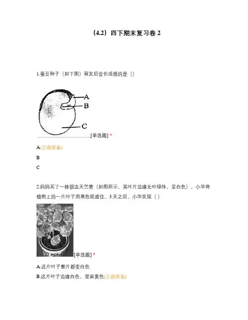 (期末考试试题