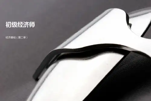 初级经济师—经济基础(第二章)