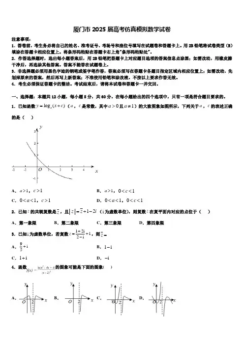厦门市2025届高考仿真模拟数学试卷含解析