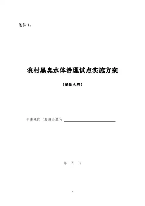 农村黑臭水体治理试点实施方案(编制大纲)