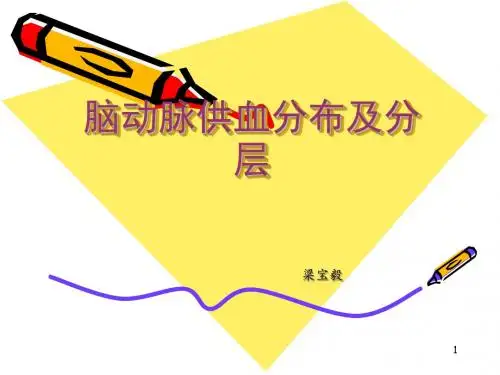 (参考课件)脑血管各支供血区分布