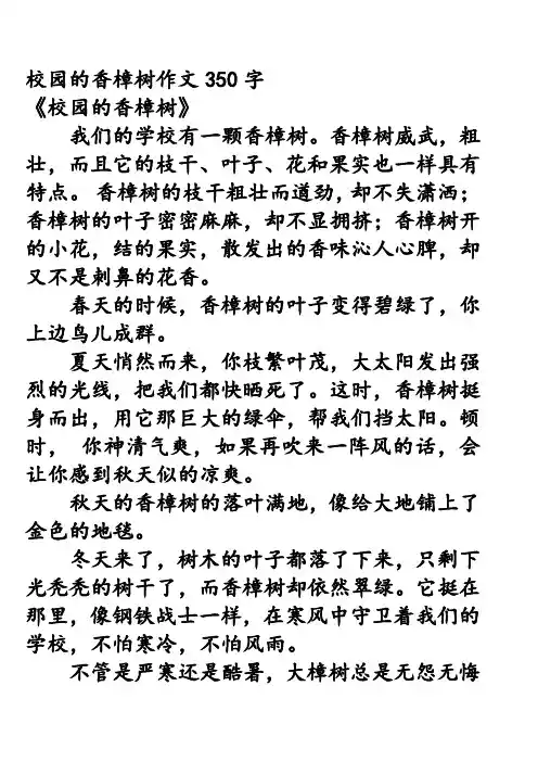 校园的香樟树作文350字