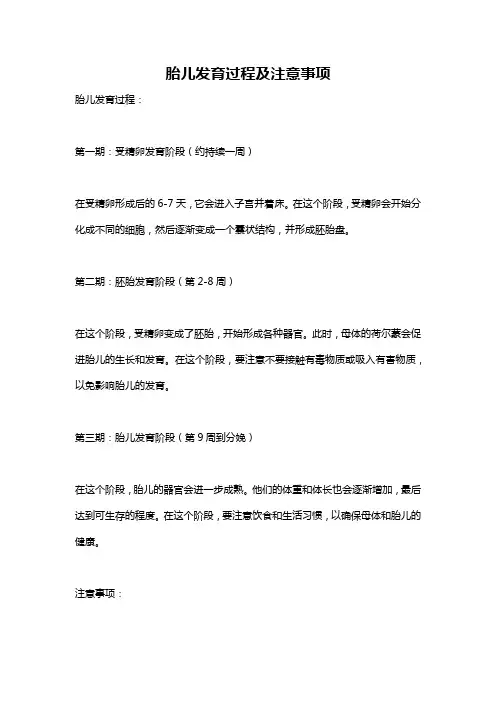 胎儿发育过程及注意事项