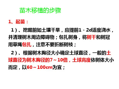 苗木移植的步骤 PPT课件