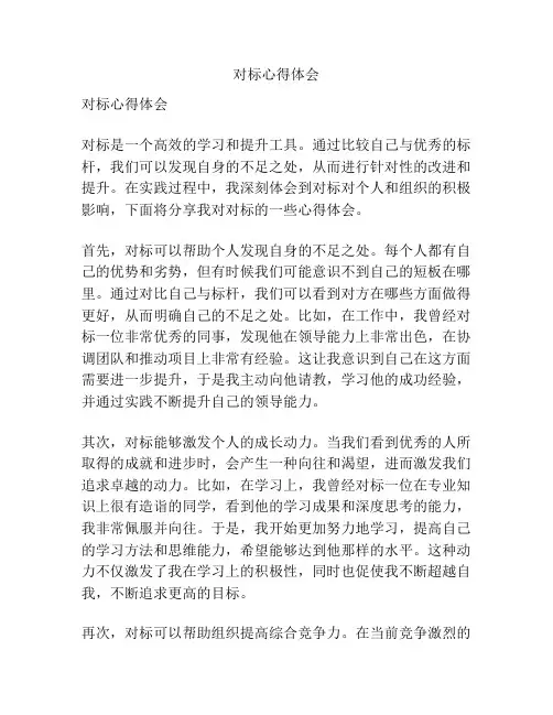 对标心得体会