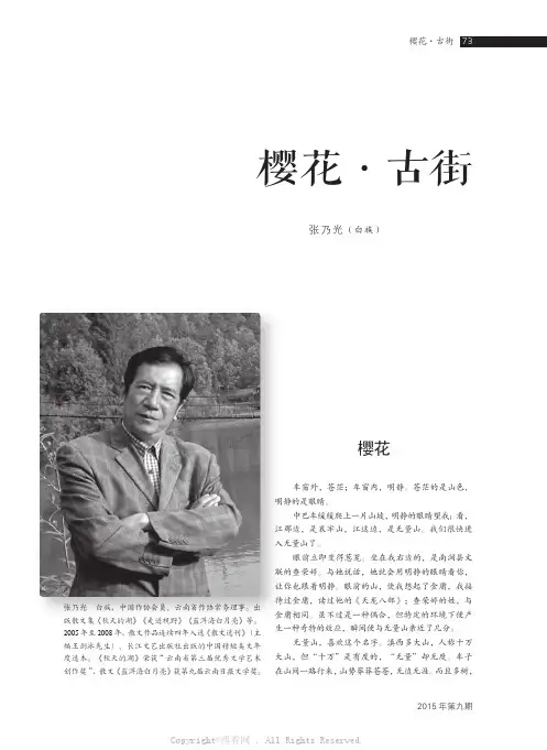 樱花·古街
