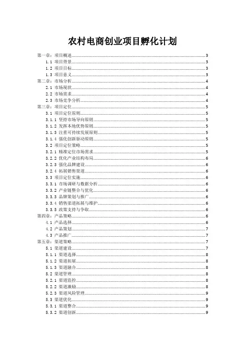 农村电商创业项目孵化计划
