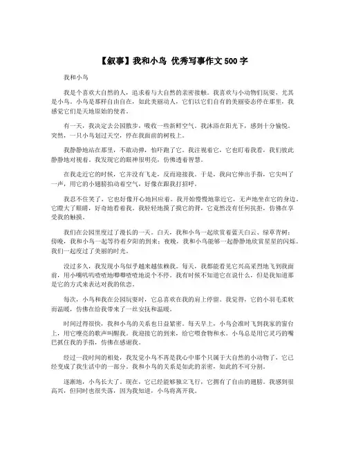 【叙事】我和小鸟 优秀写事作文500字