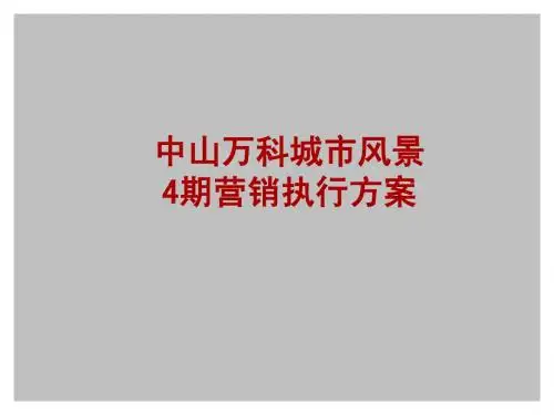 案例2_营销策略总纲