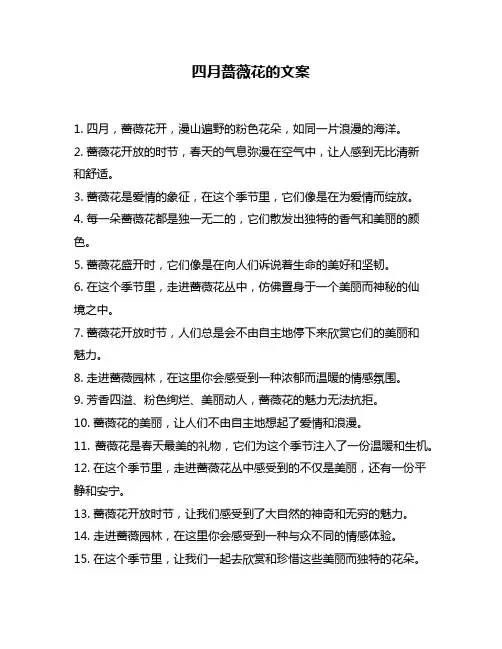 四月蔷薇花的文案