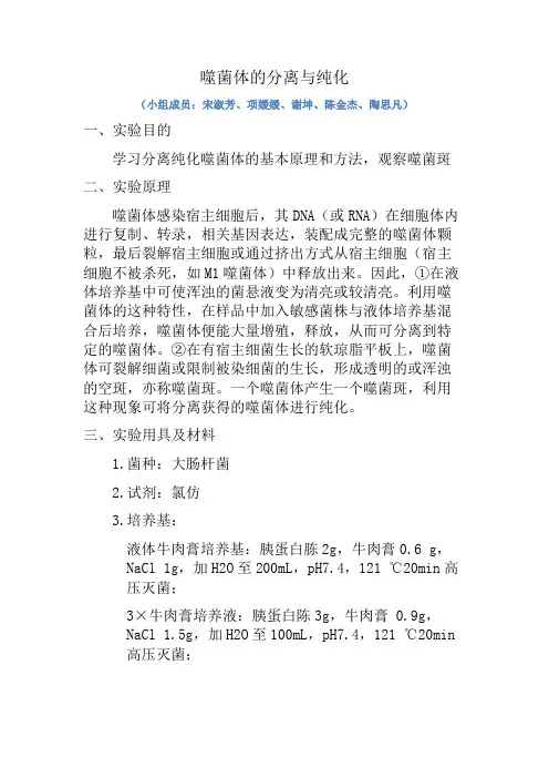 噬菌体的分离与纯化实验设计