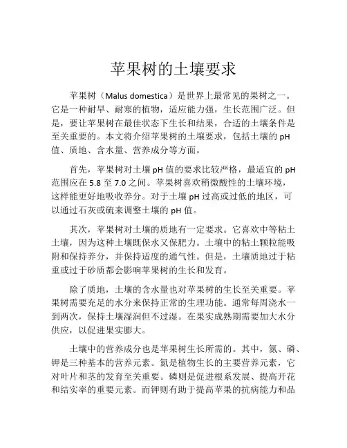 苹果树的土壤要求