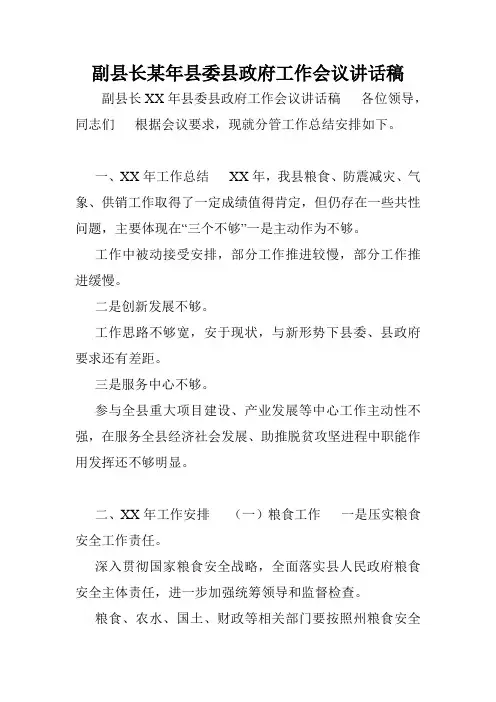 副县长某年县委县政府工作会议讲话稿.doc