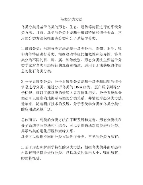鸟类分类方法