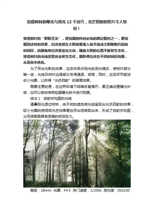 拍摄树林的曝光与用光12个技巧，光芒四射的照片令人惊叹！