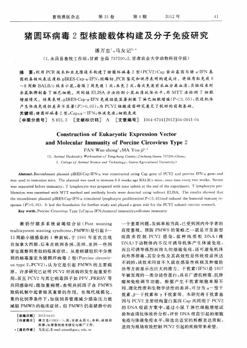 猪圆环病毒2型核酸载体构建及分子免疫研究