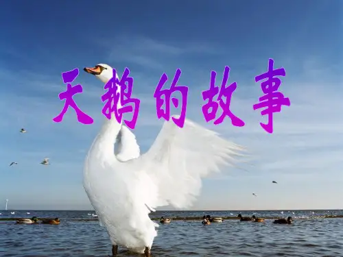 小学四年级下学期语文《天鹅的故事》PPT