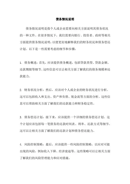 债务情况说明