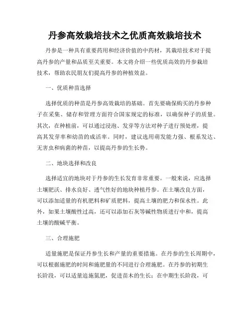 丹参高效栽培技术之优质高效栽培技术