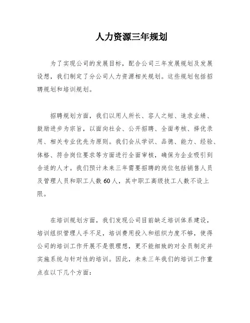 人力资源三年规划