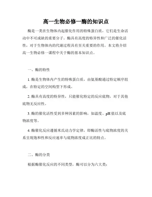 高一生物必修一酶的知识点