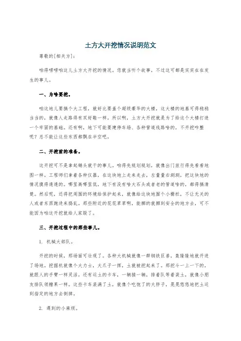 土方大开挖情况说明范文