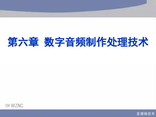 数字音频制作处理技术(精)