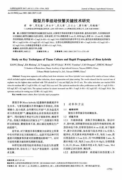 微型月季组培快繁关键技术研究