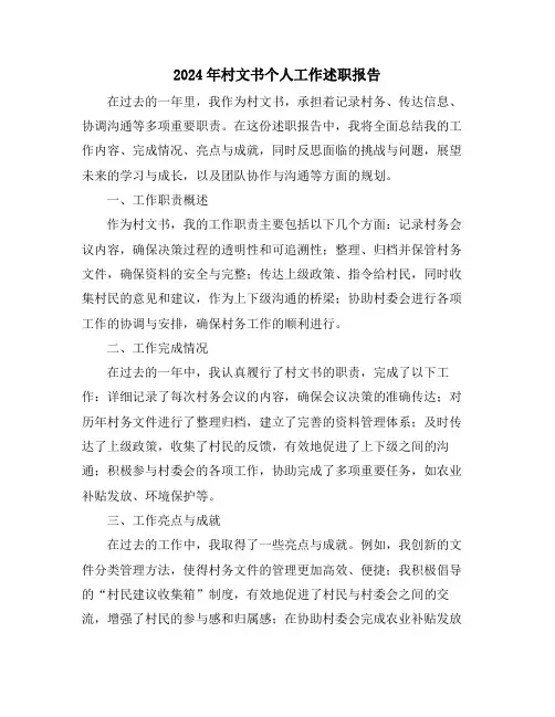2024年村文书个人工作述职报告